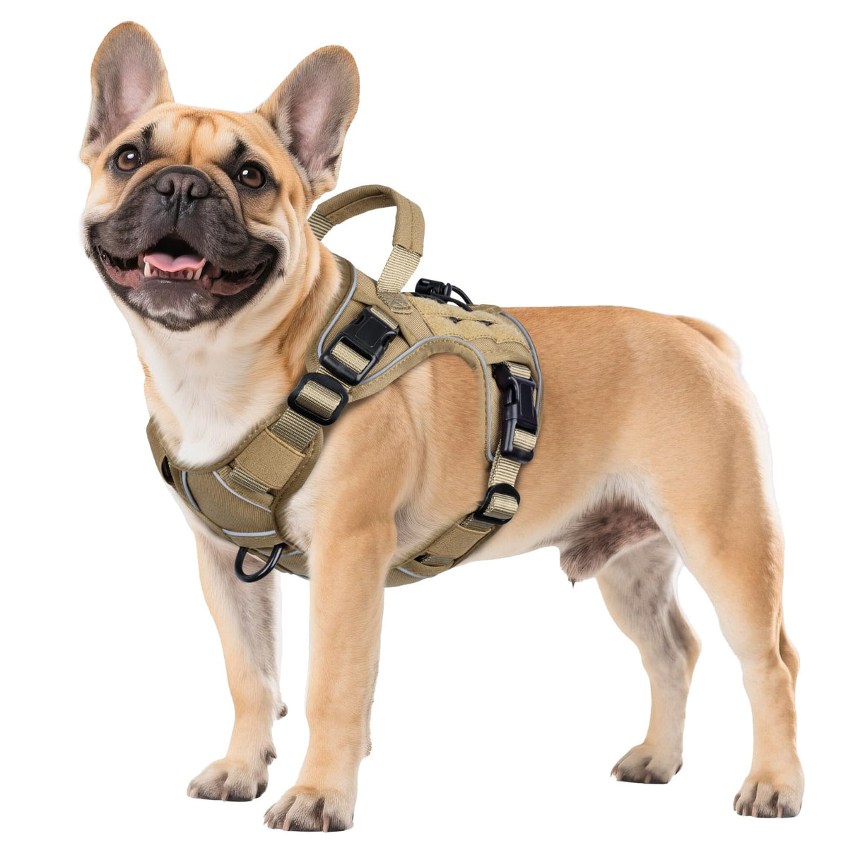 Harness