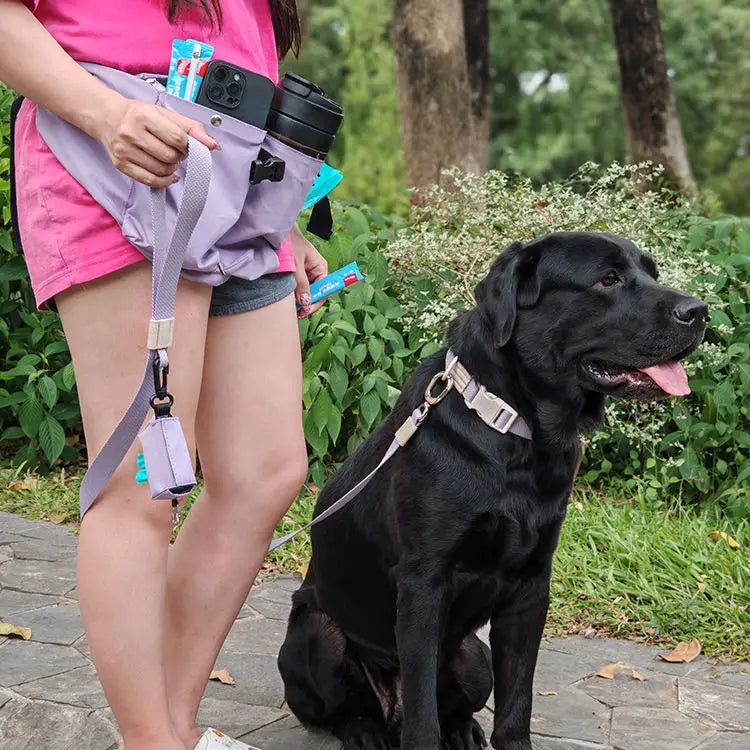 Outdoor Portable Dog Training Waist Pack Snack Carrying Oxford Fabric Mobile Phone Waist Bag
